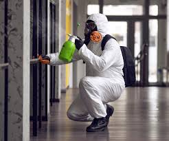 Professional Mold Removal & Remediation in Pine Lawn, MO